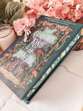 Load image into Gallery viewer, Cozy Fantasy - November 2025