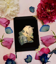 Load image into Gallery viewer, Beauty and the Beast Deluxe Notebook - Journal